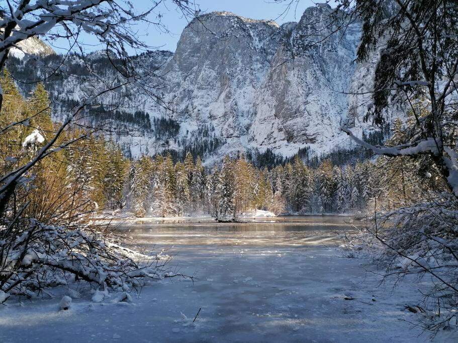 Apartma Traumblick Obertraun Lägenhet Exteriör bild